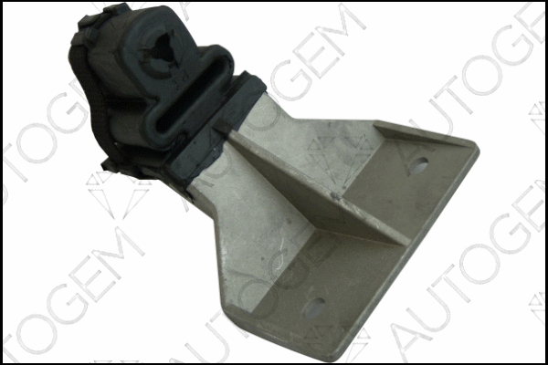 Mount, exhaust system (CSM493)