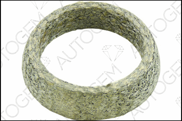 Seal Ring, exhaust pipe (CEG699)