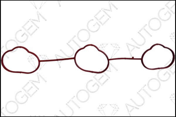Gasket, intake manifold (CSM771)