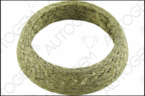 Seal Ring, exhaust pipe (CEG28)