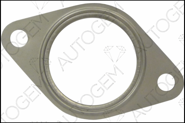 Gasket, exhaust pipe (CEG5638)