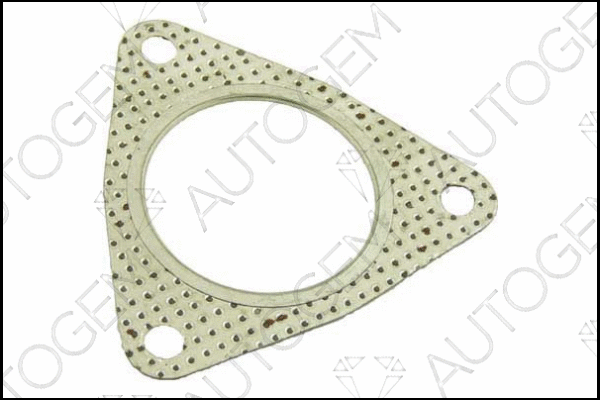 Gasket, exhaust pipe (EG72)