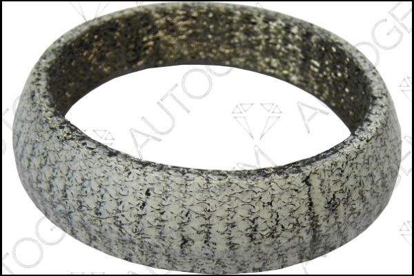 Seal Ring, exhaust pipe (CEG677)