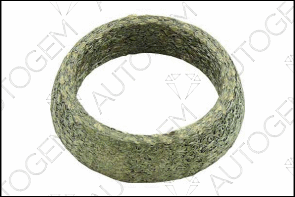 Seal Ring, exhaust pipe (CEG246)