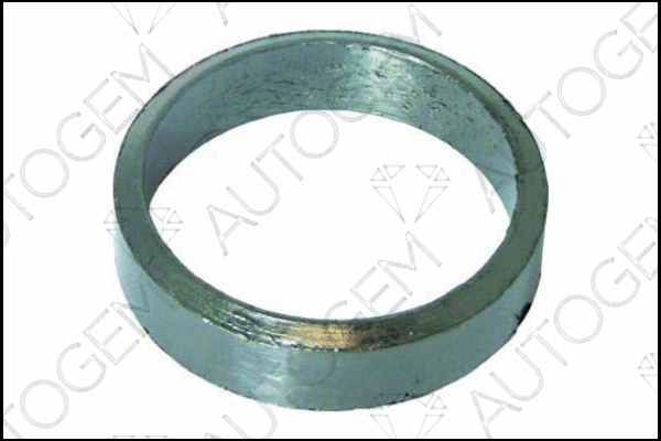 Seal Ring, exhaust pipe (CEG6801)