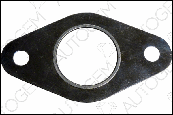 Gasket, exhaust pipe (CEG8511)