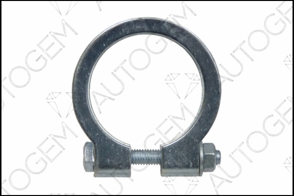 Pipe Connector, exhaust system (CCLP55)