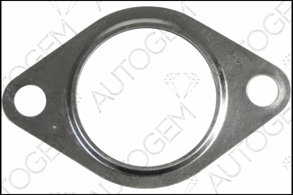 Gasket, exhaust pipe (CEG4415)