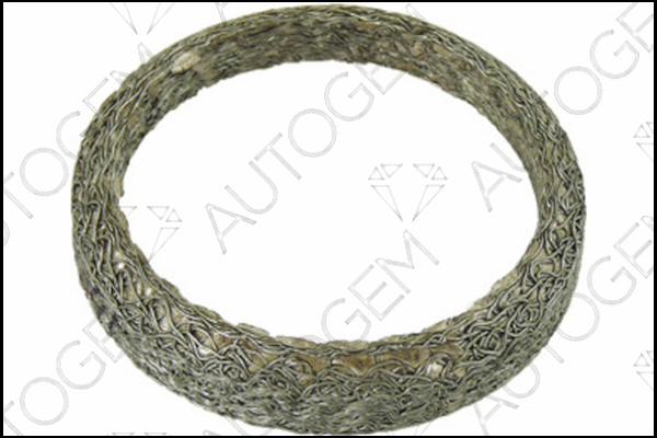 Seal Ring, exhaust pipe (CEG686)