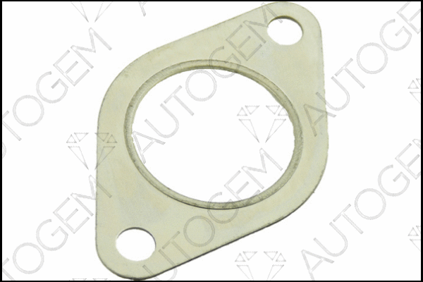 Gasket, exhaust pipe (CEG410)