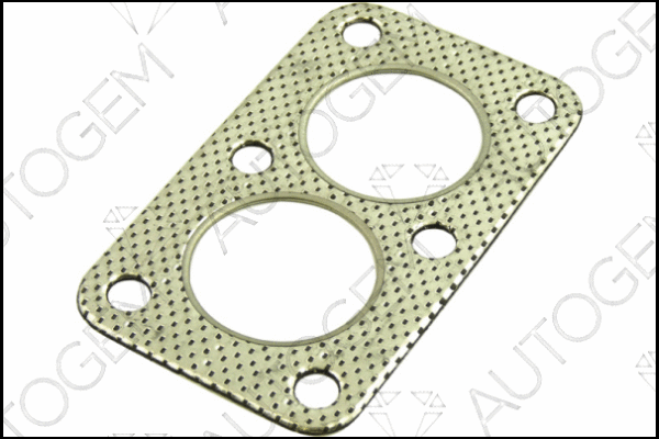 Gasket, exhaust pipe (CEG425)