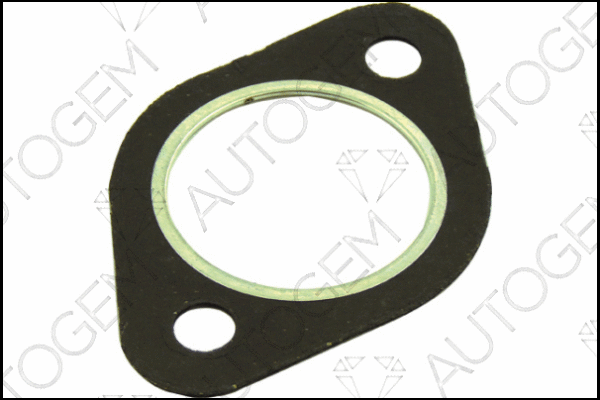 Gasket, exhaust pipe (CEG126)