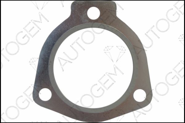 Gasket, exhaust pipe (CEG7539)