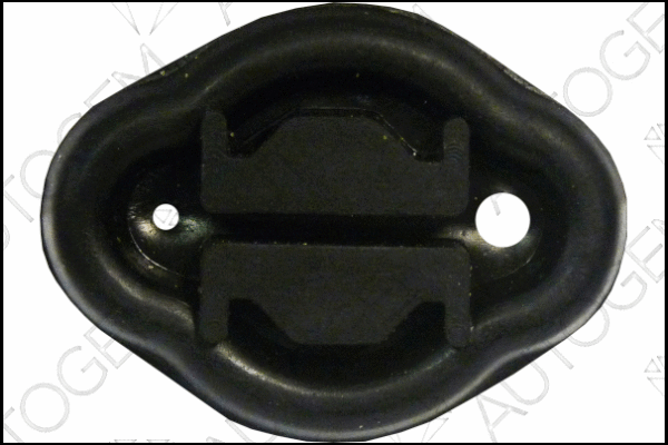 Mount, exhaust system (CSM273)