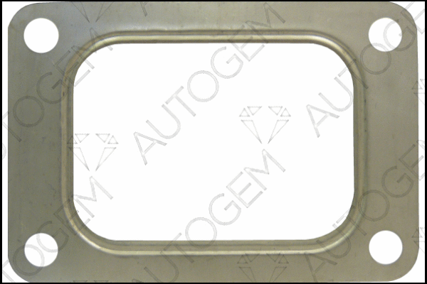 Gasket, charger (TBG1023)