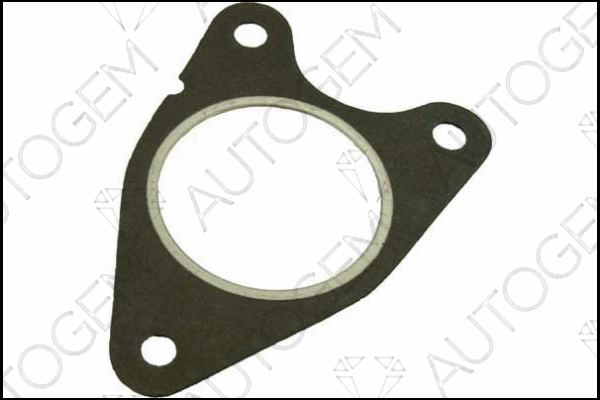 Gasket, exhaust pipe (EG92)