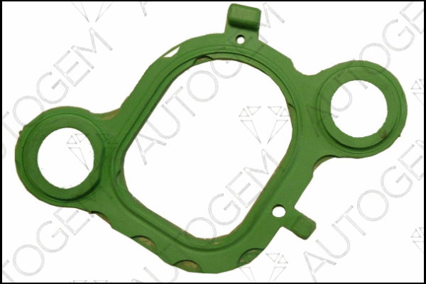 Gasket, intake manifold (CSM987)