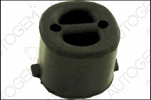 Mount, exhaust system (CSM80)