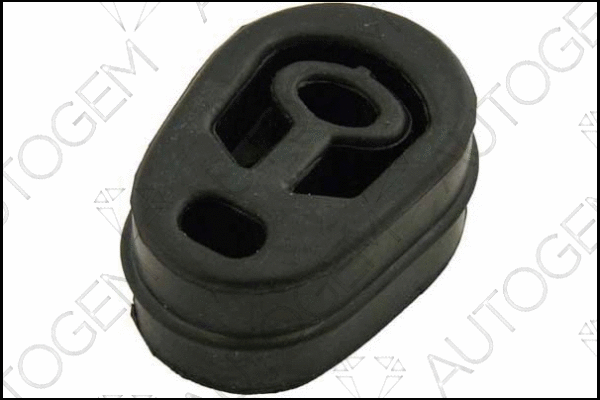 Mount, exhaust system (CSM209)