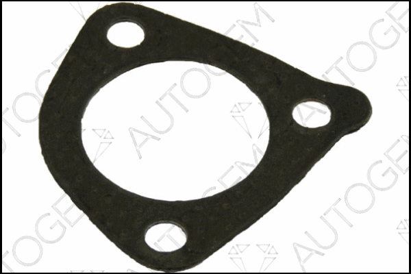 Gasket, exhaust pipe (CEG664)