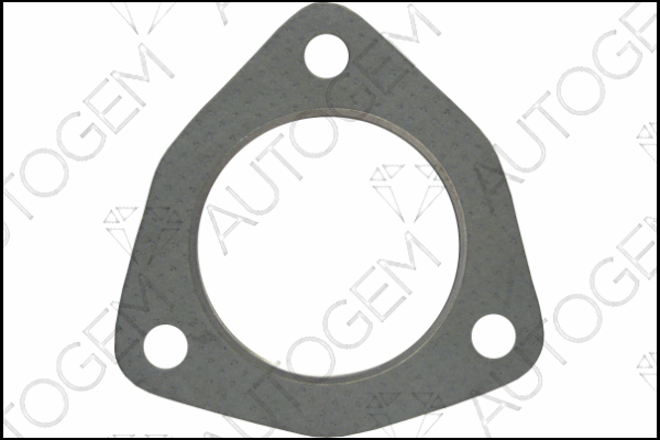 Gasket, exhaust pipe (CEG5411)