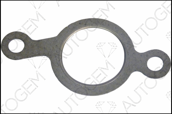 Gasket, exhaust manifold (CEG9493)