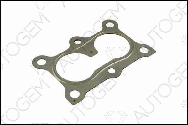 Gasket, exhaust pipe (CEG436)