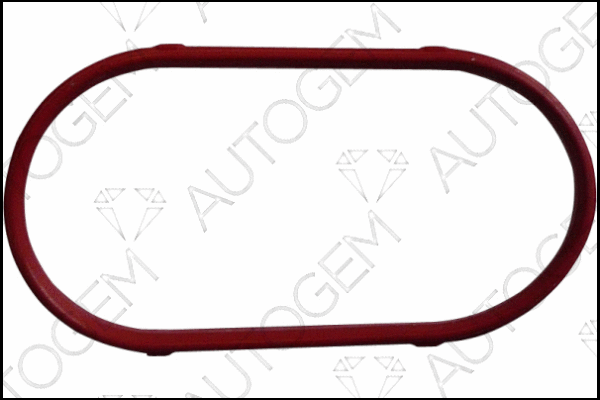 Gasket, intake manifold (CSM4513)