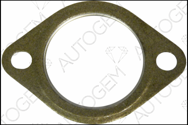 Gasket, exhaust pipe (CEG4426)