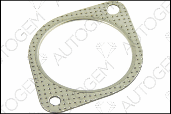 Gasket, exhaust pipe (CEG417)