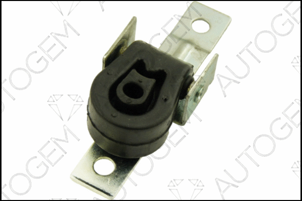 Mount, exhaust system (CSM309)