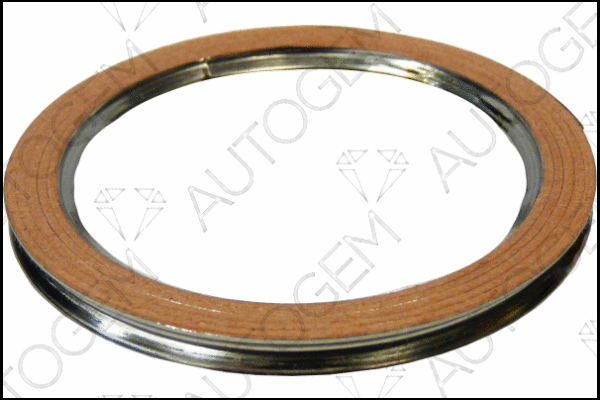 Seal Ring, exhaust pipe (CEG678)