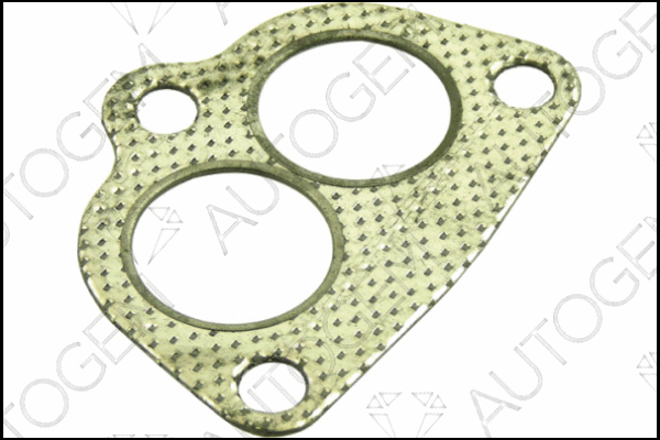 Gasket, exhaust pipe (CEG20)