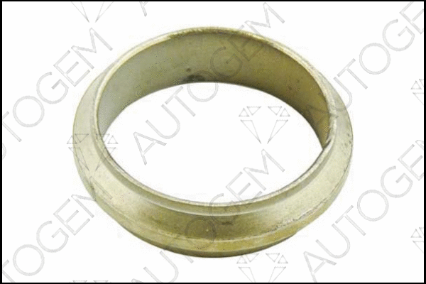 Seal Ring, exhaust pipe (CEG188)