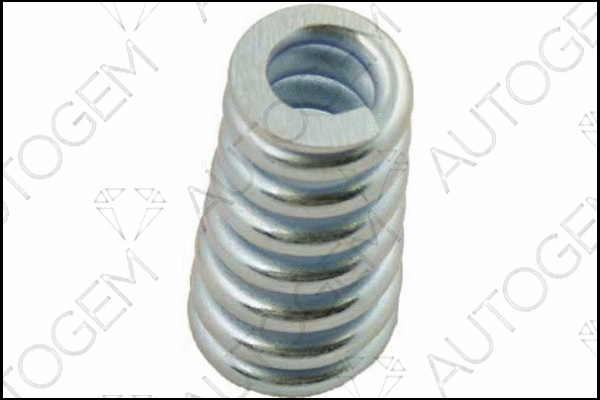 Spring, muffler (CSC71)