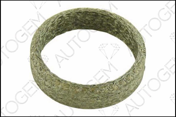 Seal Ring, exhaust pipe (CEG186)