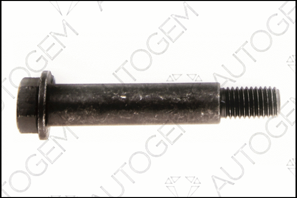 Bolt, exhaust system (EMS23)