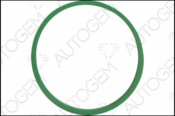 Gasket, intake manifold (CSM7809)