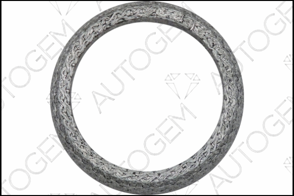 Seal Ring, exhaust pipe (CEG8381)