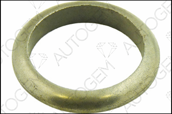 Seal Ring, exhaust pipe (CEG457)