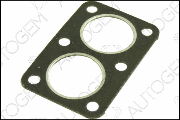 Gasket, exhaust pipe (CEG30)