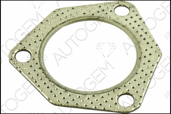 Gasket, exhaust pipe (CEG116)
