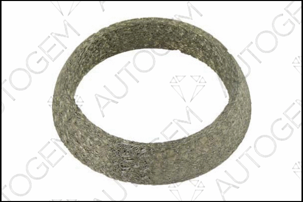 Seal Ring, exhaust pipe (CEG703)