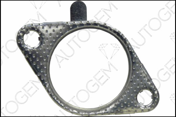 Gasket, exhaust pipe (CEG5627)