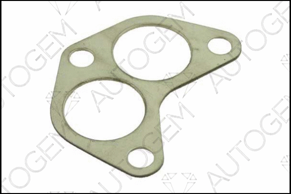 Gasket, exhaust pipe (CEG07)