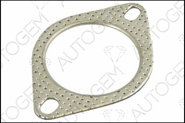 Gasket, exhaust pipe (CEG811)