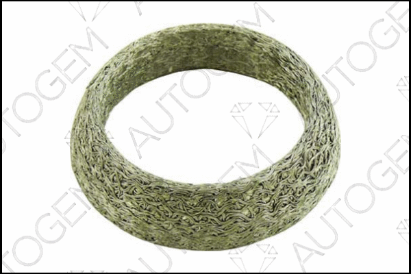 Seal Ring, exhaust pipe (CEG288)