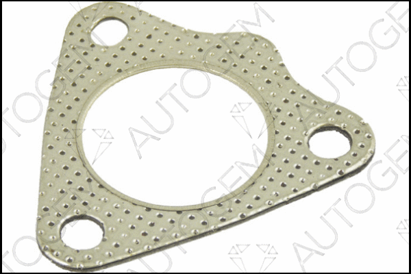 Gasket, exhaust pipe (CEG652)