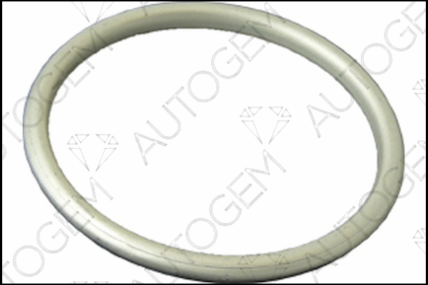 Seal Ring, exhaust pipe (CEG748)