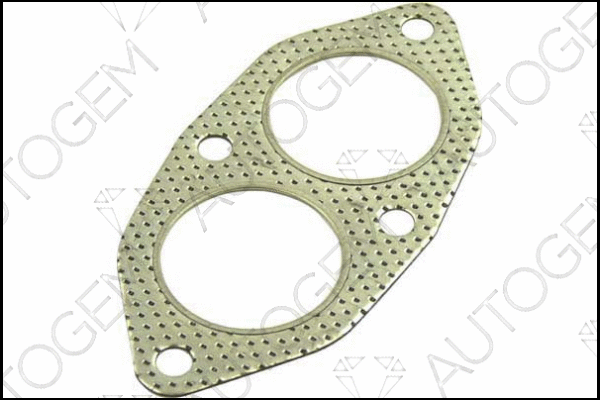Gasket, exhaust pipe (CEG81)
